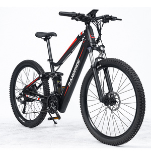 RANDRIDE YS90 Electric Bike 1000W Motor Off Road Electric Bicycle 48V Mountain Bike Electrical with CE Certificate