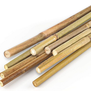 China good sale natural bamboo stake bamboo poles raw bamboo stakes