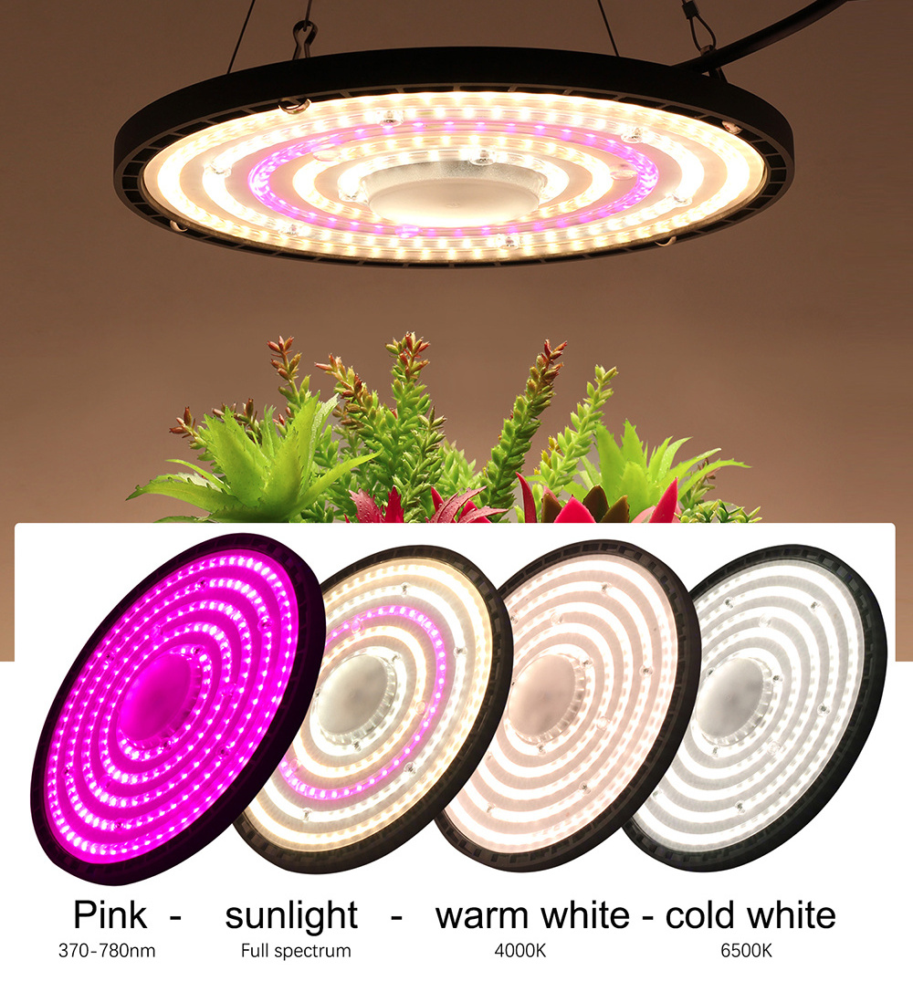 Dimmable Led Full Spectrum Grow Lights Bulb Plant 100 150 200 Watts Led Grow Light For Flowering