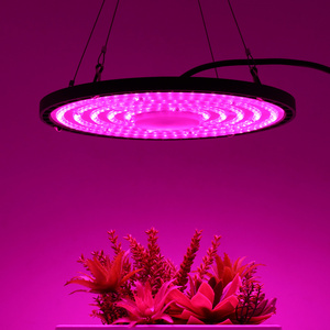 Dimmable Led Full Spectrum Grow Lights Bulb Plant 100 150 200 Watts Led Grow Light For Flowering