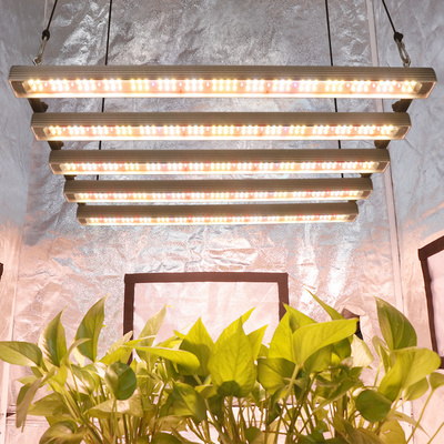 Specialized led grow lights cheap