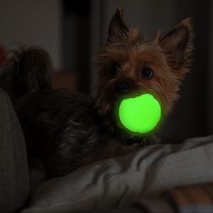 Wholesale High Quality light up ball glow in the dark dog ball rubber ball tooth cleaning training dog pet toys