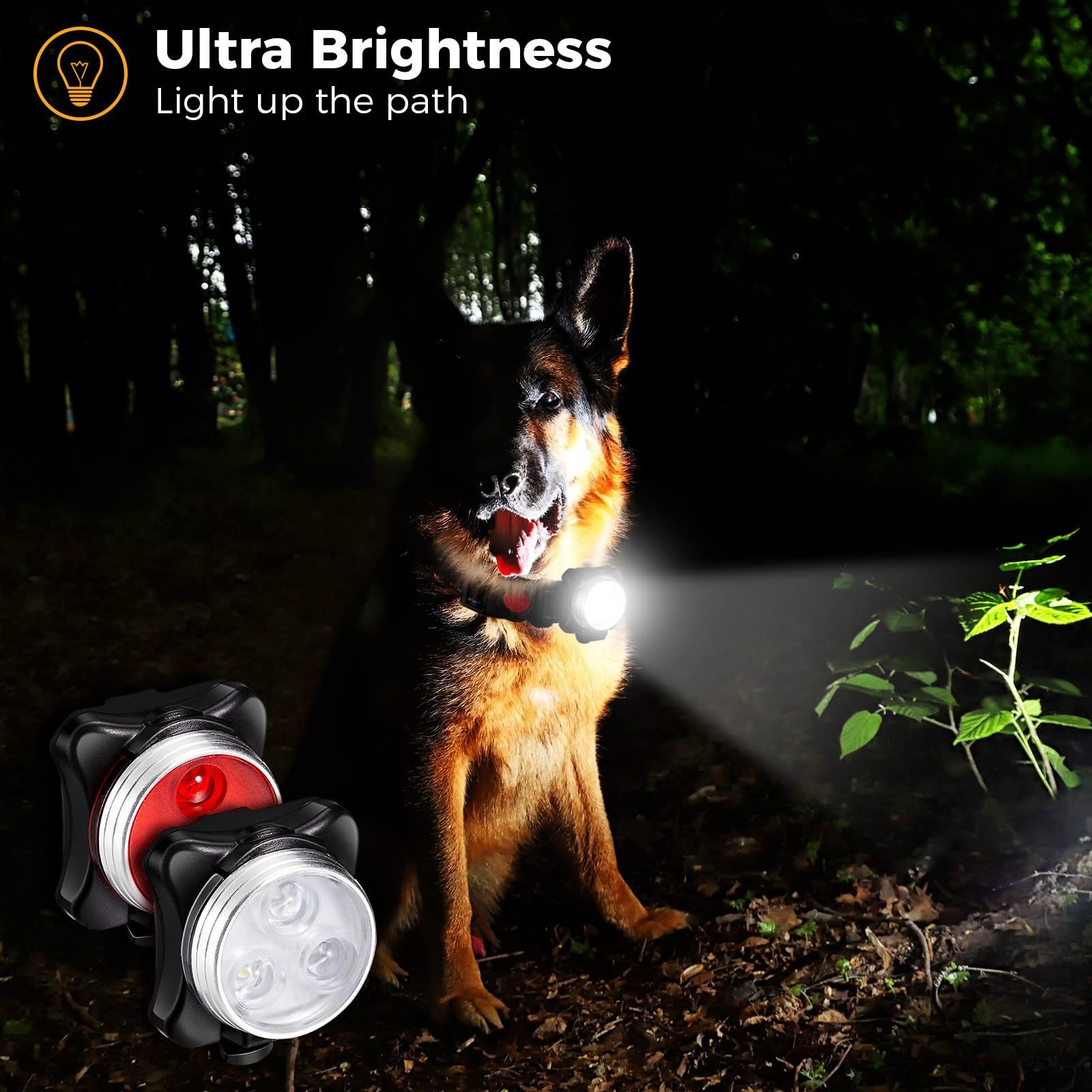 USB Rechargeable Dog Collar Night Lights Pet Safety Light LED Collar Charm for Outdoor Running Walking