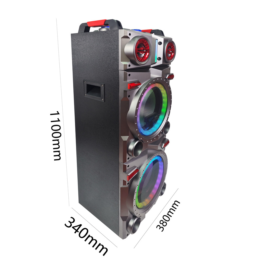 Double 12 inch DJ System Karaoke Party Trolley Subwoofer Speaker With Display Screen and Two MIc