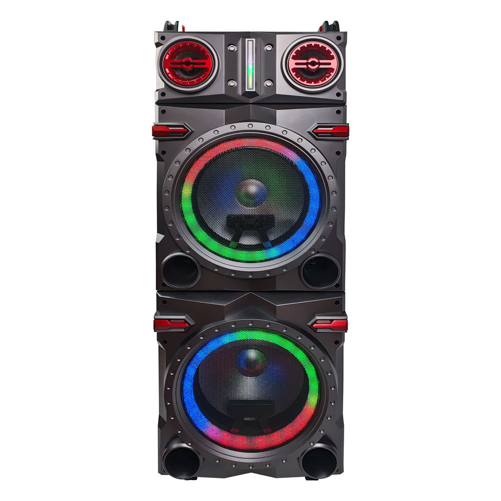 Double 12 inch DJ System Karaoke Party Trolley Subwoofer Speaker With Display Screen and Two MIc