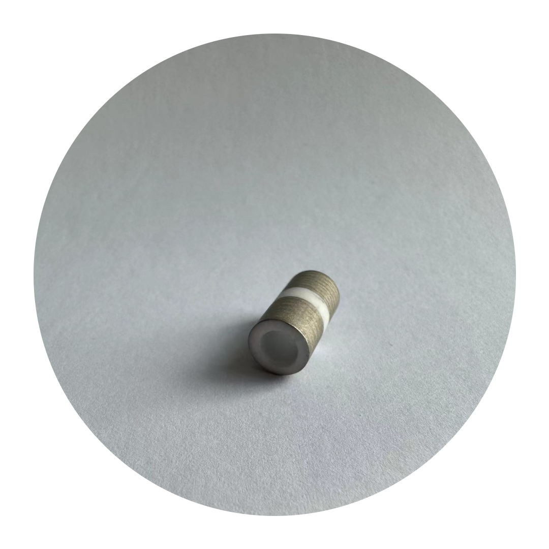 95% Alumina Vacuum Metallized Ceramic Vacuum Metal Sealed Parts