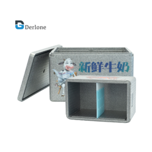 pp cold chain packing foldable mini Epp insulation cooler box