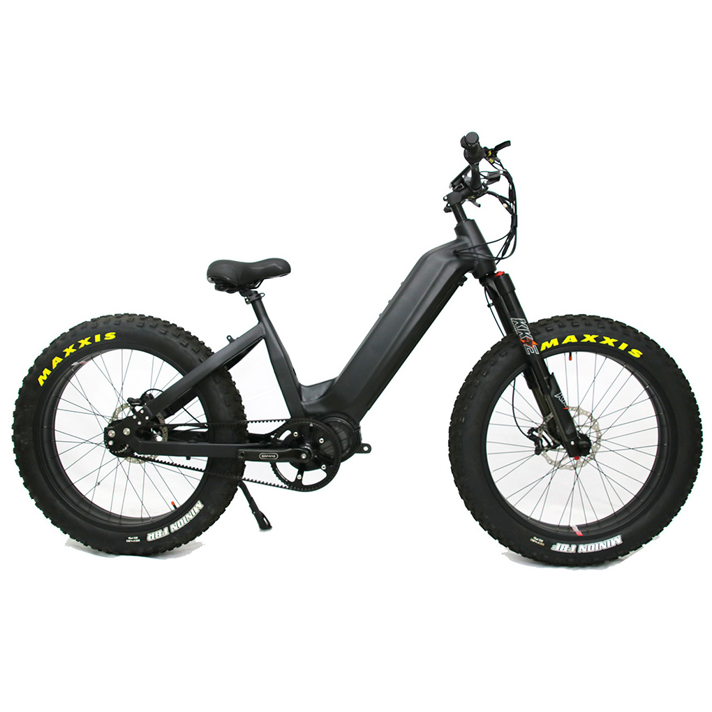 Gates Belt Electric Dirt Bike with Rohloff 14 Speeds All Terrain 1000W Electric Mountain Bike Bafang MID Drive Ebike for Hunting