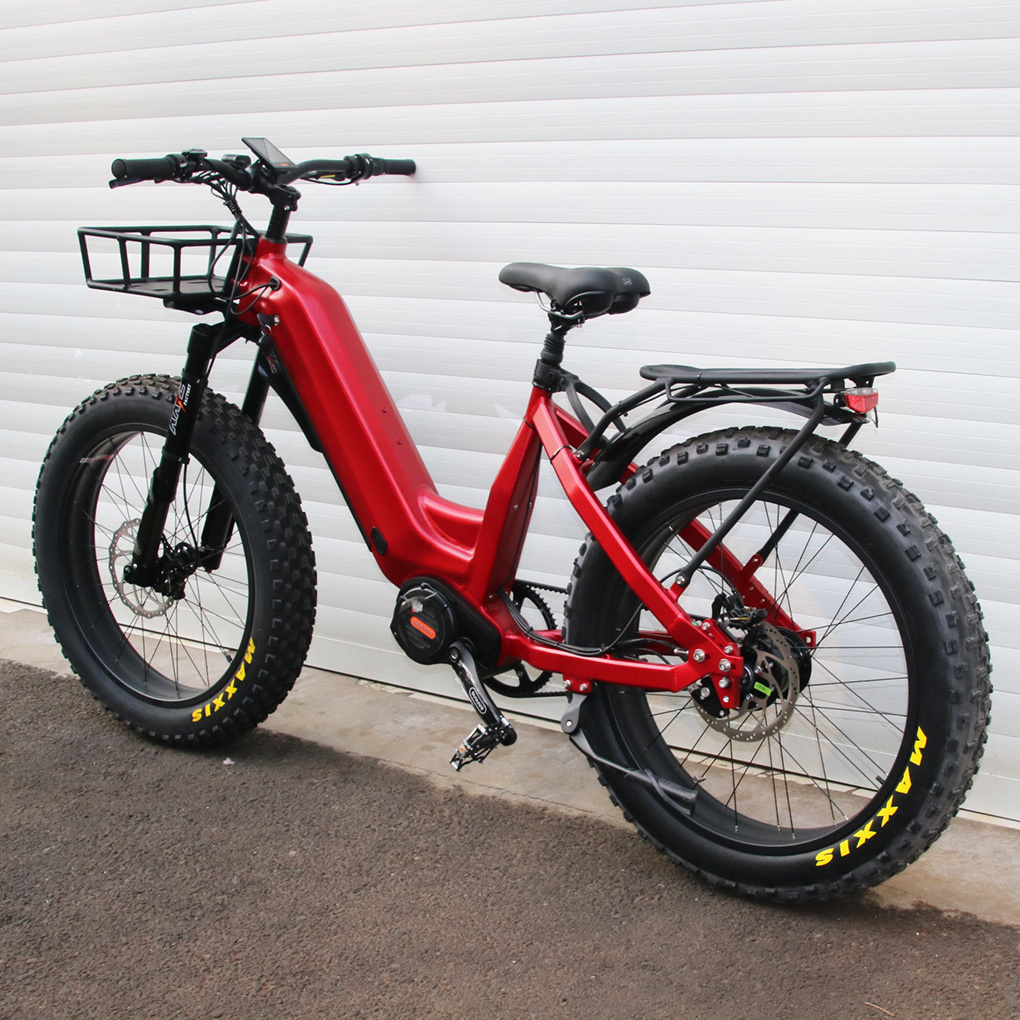 Gates Belt Electric Dirt Bike with Rohloff 14 Speeds All Terrain 1000W Electric Mountain Bike Bafang MID Drive Ebike for Hunting