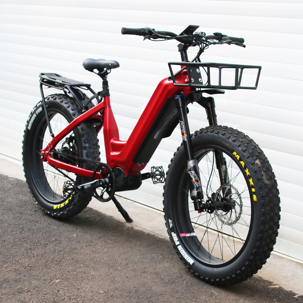 Gates Belt Electric Dirt Bike with Rohloff 14 Speeds All Terrain 1000W Electric Mountain Bike Bafang MID Drive Ebike for Hunting