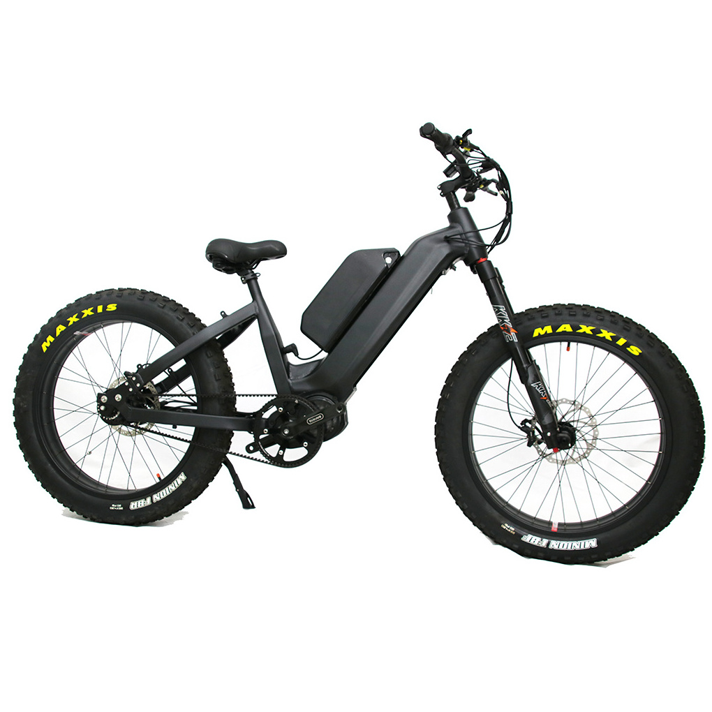 Gates Belt Electric Dirt Bike with Rohloff 14 Speeds All Terrain 1000W Electric Mountain Bike Bafang MID Drive Ebike for Hunting