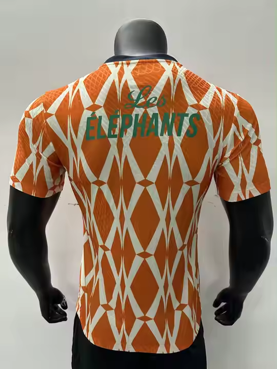 Sport Jersey 100% Cotton Soccer Shirt Africa Nations Player Football Jersey Country Away Jersey