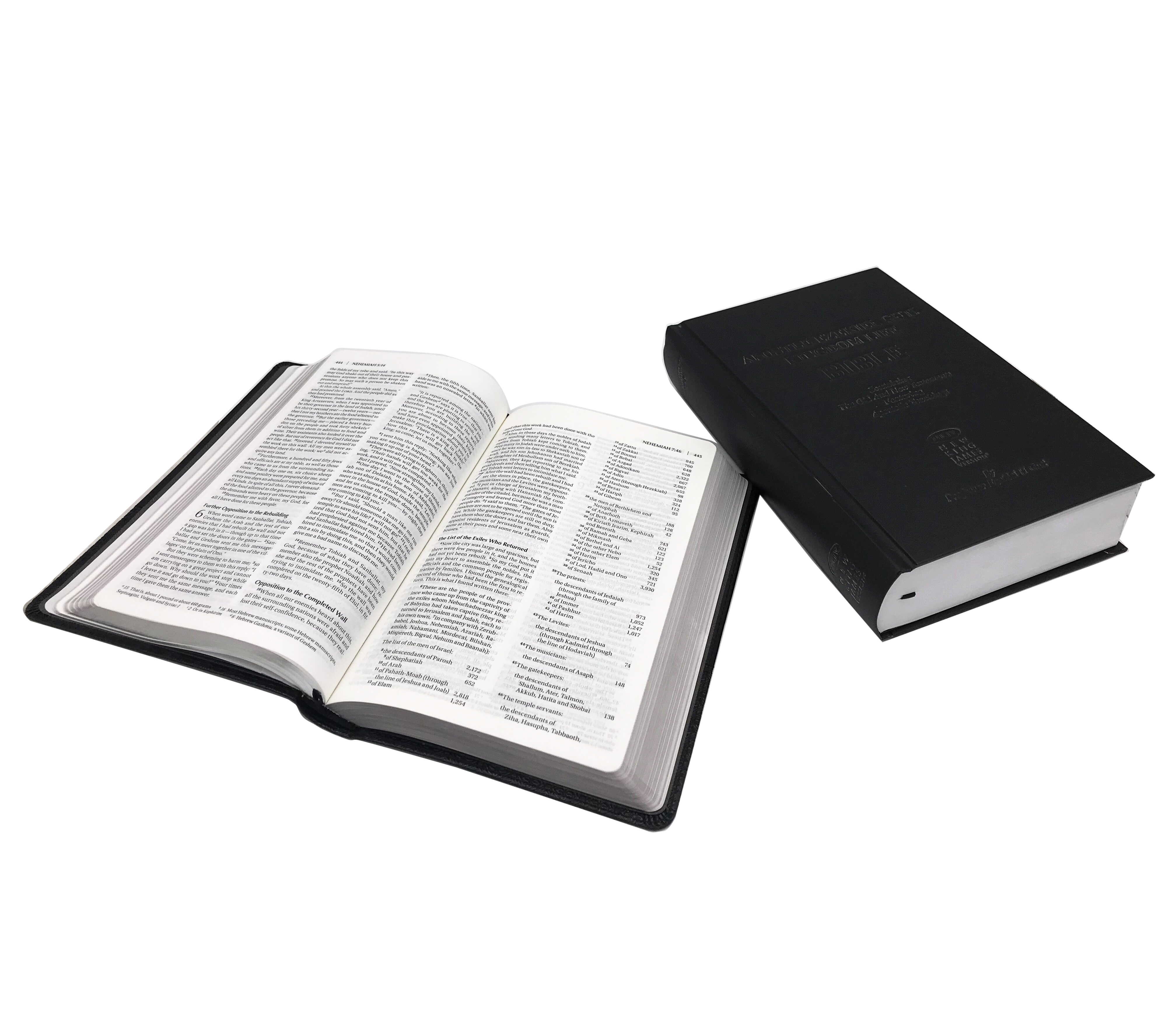 Big factory printing high quality niv bible, kjv bible, child bible