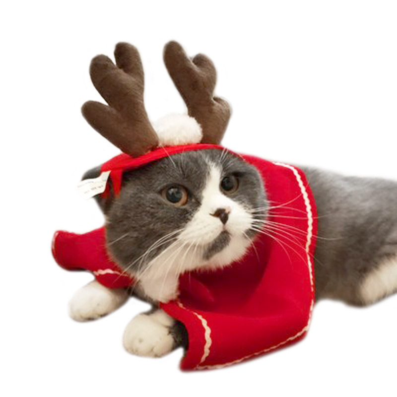 Hot selling and low price dog christmas hat christmas hats pet hat