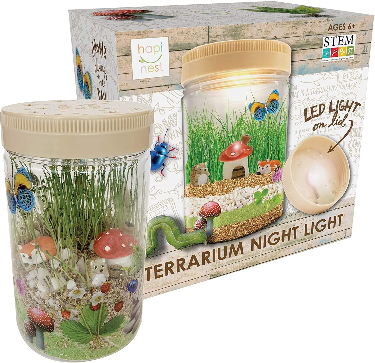 Light-up Terrarium Kit for Kids - Arts and Crafts Gifts for Boys and Girls Age 6 7 8 9 10 Year Old