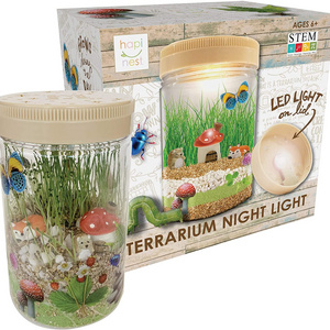 Light-up Terrarium Kit for Kids - Arts and Crafts Gifts for Boys and Girls Age 6 7 8 9 10 Year Old