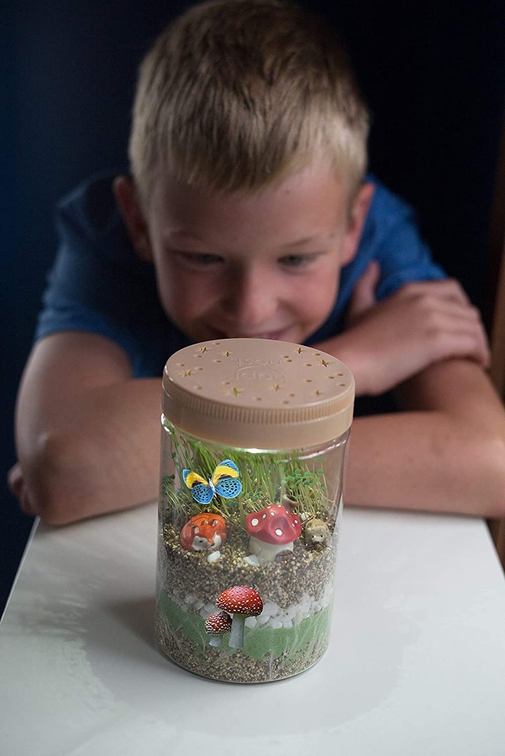 Light-up Terrarium Kit for Kids - Arts and Crafts Gifts for Boys and Girls Age 6 7 8 9 10 Year Old