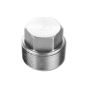 New China Supplier External Screw Thread Stainless Steel Hex Head Plug