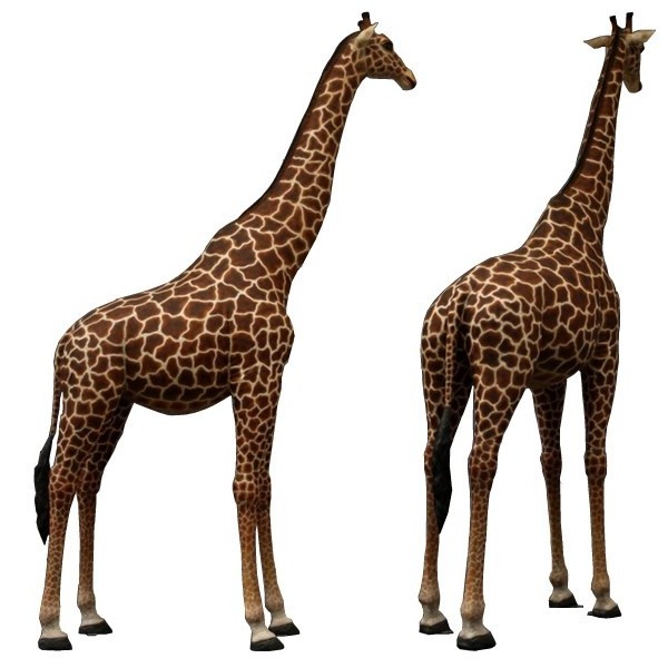 Outdoor theme park decoration  life size Fiberglass giraffe statue for sale