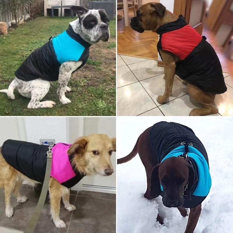 Wholesale The Dog Face Fashions High Brand Winter Coats Jacket Pet Apparel Designers Luxury Dog Clothes