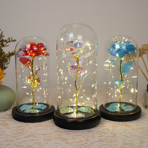 Battery Operated Colorful LED Christmas Gift Forever Rose Light Up Flowers In Glass Dome glass flower light