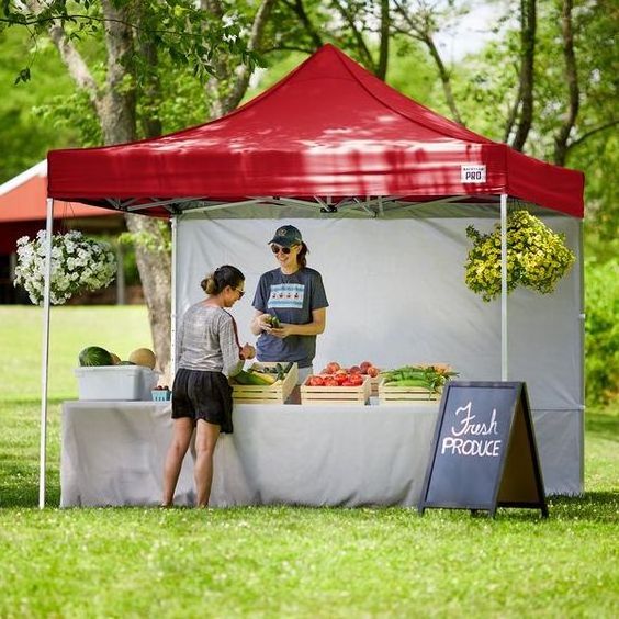 Portable pop up canopy best sale