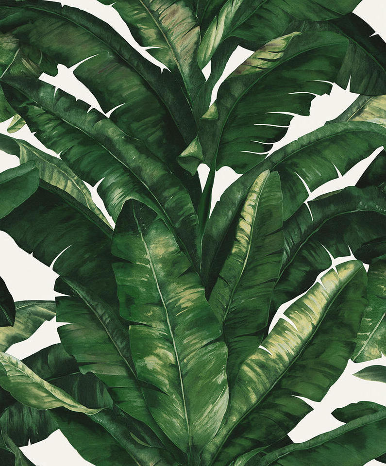 Factory Sale High Quality Custom Palm Green Tree Leaves Nature TV Background Wallpaper For Living Room