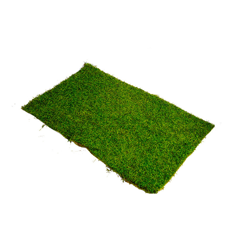 Factory Artificial Moss Green Emulational Lawn Background Wall Window Green Plant Art Decoration Artificial Moss Panels