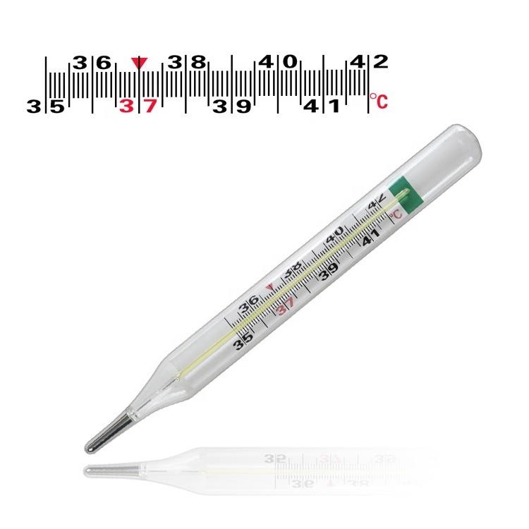 New Mercury Free Glass Clinical Thermometer C scale