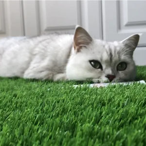 Pet grass carpet pet turf carpet artificial grass for pets