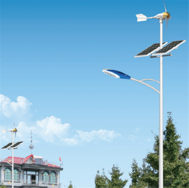 Hepu Turbine Wind Solar Hybrid Street Light 60W LED Lamps Outdoor Solar Street Light