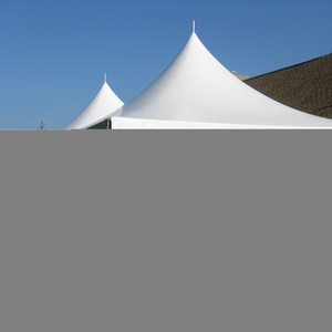 20 x 20 ft deluxe PVC utility pavilion tent