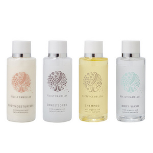 Mini Hotel Soap and Shampoo Toiletries Set 50ML Disposable Bathroom Hotel Amenities Shampoo And Conditioner