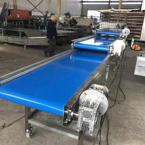 stainless steel belt conveyor