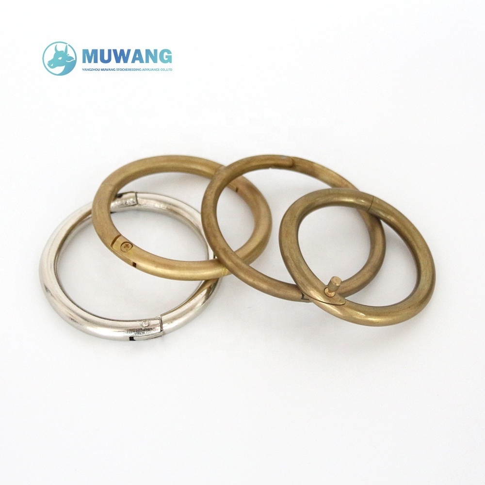 ox bull rings bull nose rings