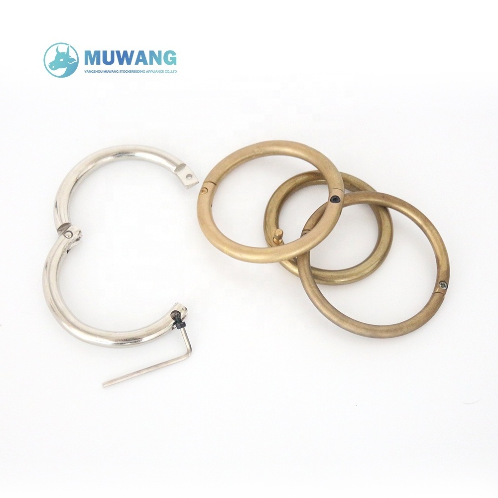 ox bull rings bull nose rings