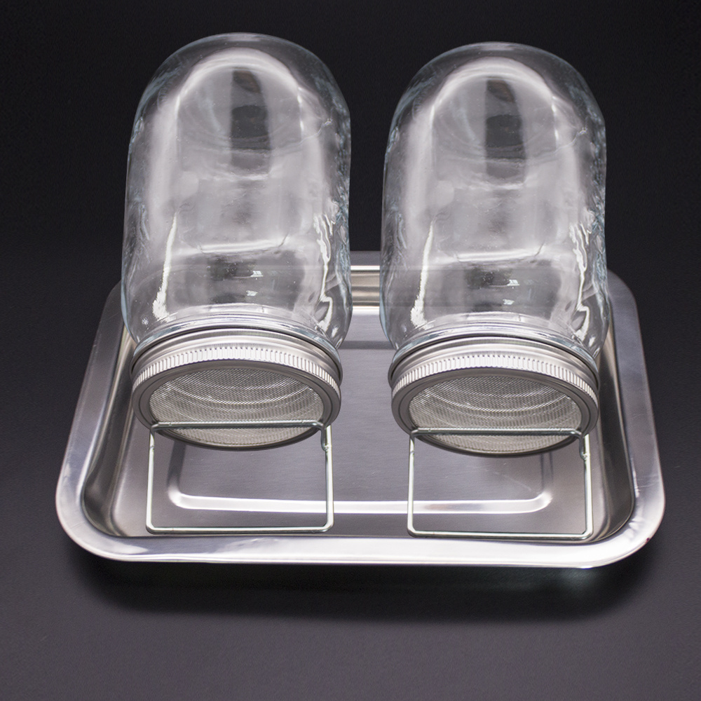 Sprouting Glass Jar Set with #304 Stand Stainless Steel Lid, Holder & Tray 2 Pack Glass jar