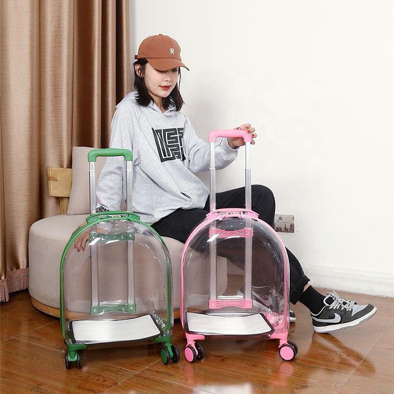 Factory direct sale modern design trolley luggage transparent bubble pet cat bag travel dog crate with wheels