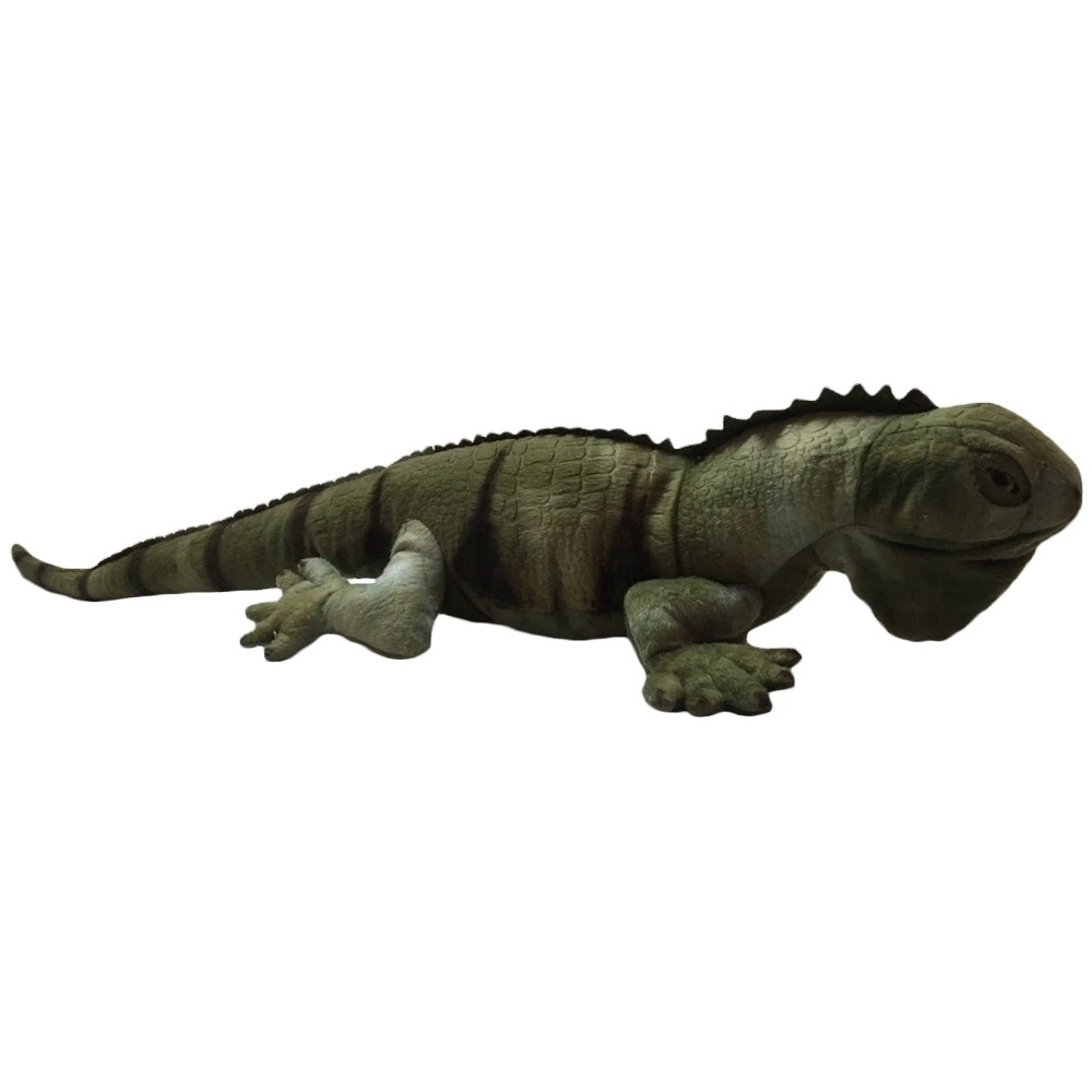 Custom Realistic Green Iguana Plush Toys Large Lizard Lifelike Plush Toy Stuffed Animal American Iguana Soft Doll