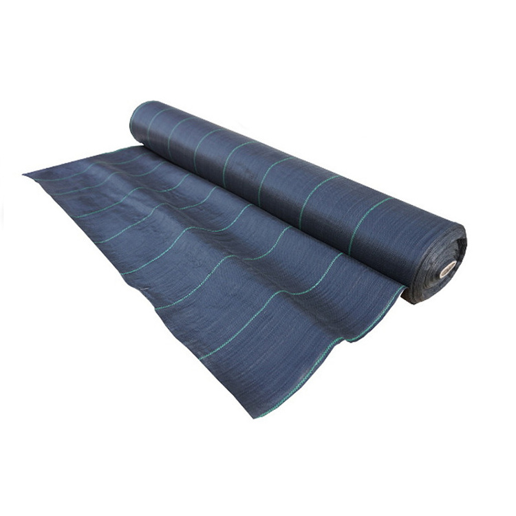 Agriculture PP woven weed barrier fabric anti weed mat for strawberries blueberries horticulture ground