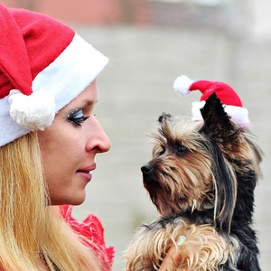 Christmas Decoration Supplies Pet Winter Hat Dog Christmas Hat