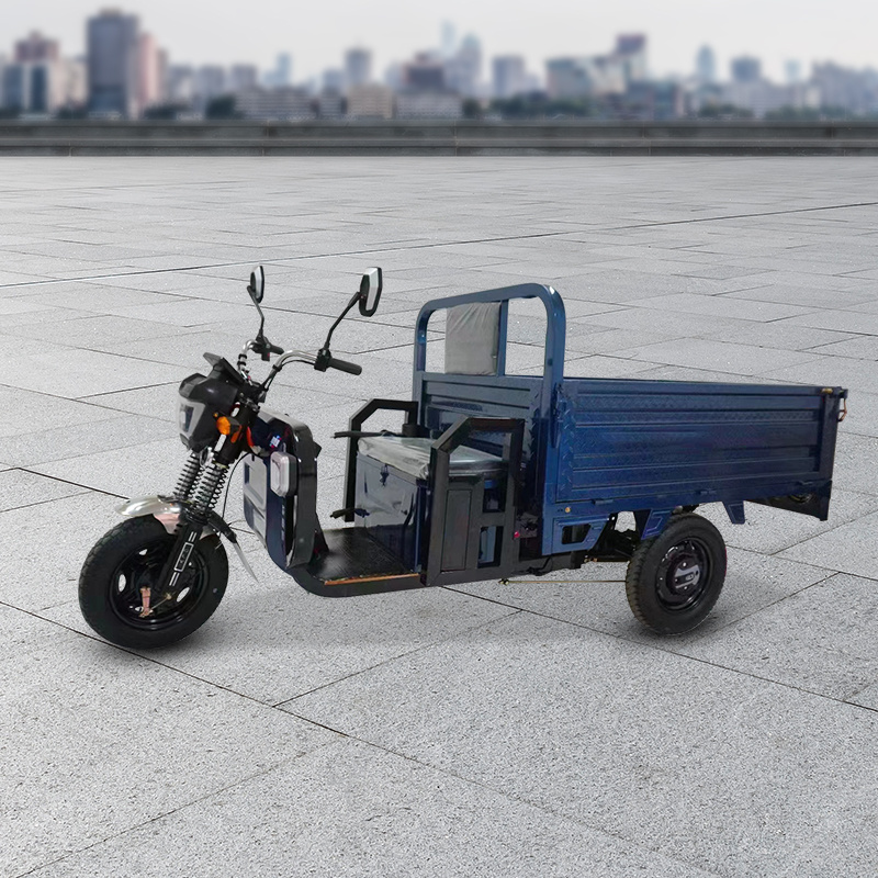 Hot selling open suitable 3 wheel electric express tricycle cargo bike/food delivery cargo tricycle /electric cargo van