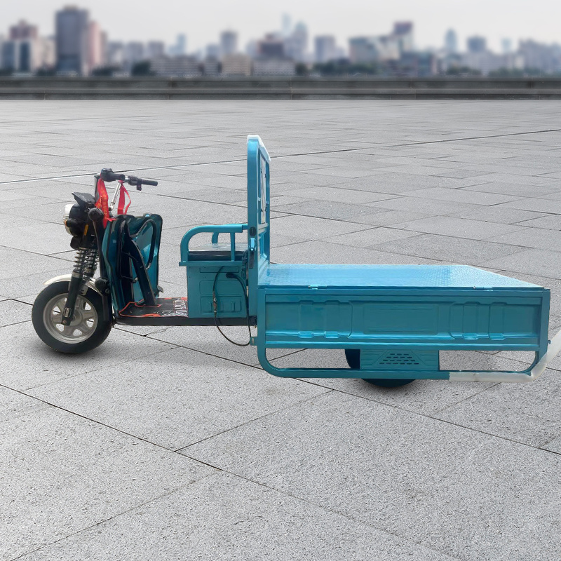 Electric rickshaw Manufacturer sales good quality electric adult tricycle for cargo