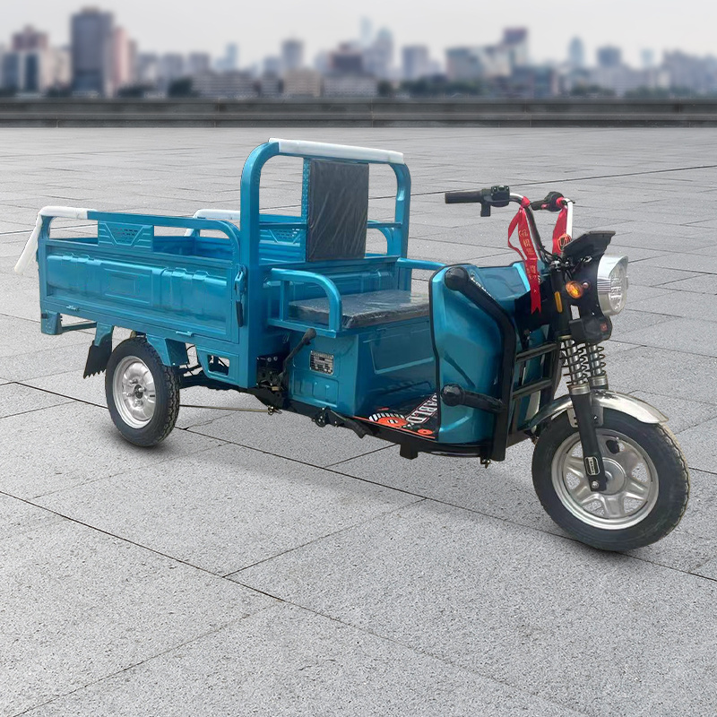 Electric rickshaw Manufacturer sales good quality electric adult tricycle for cargo