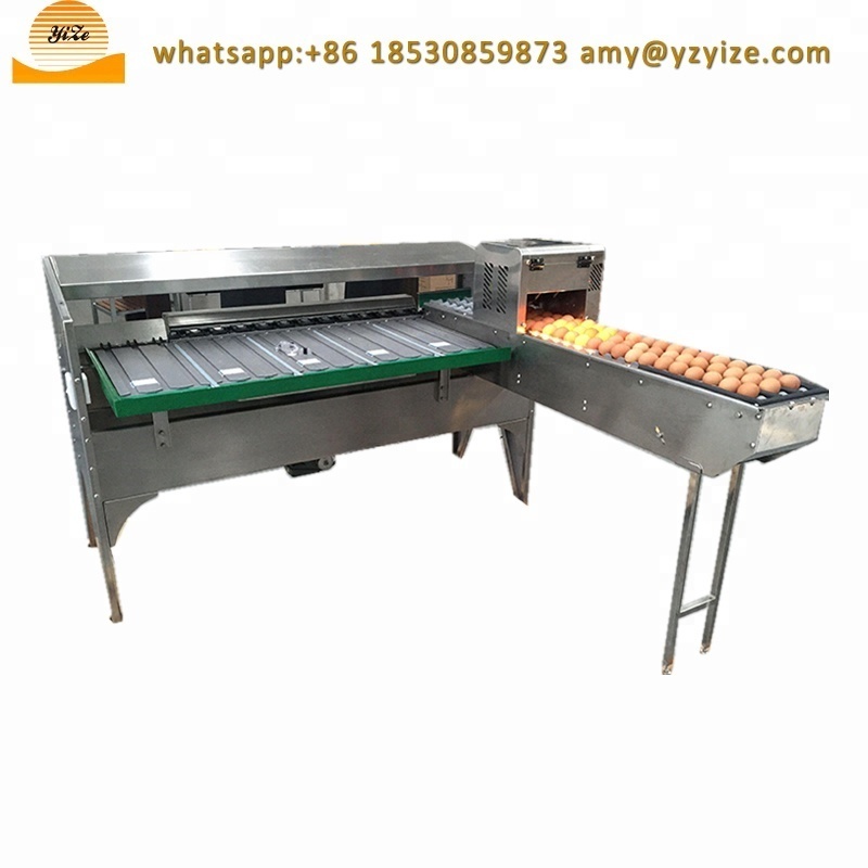 professional automatic small egg sorter grading and packing machine