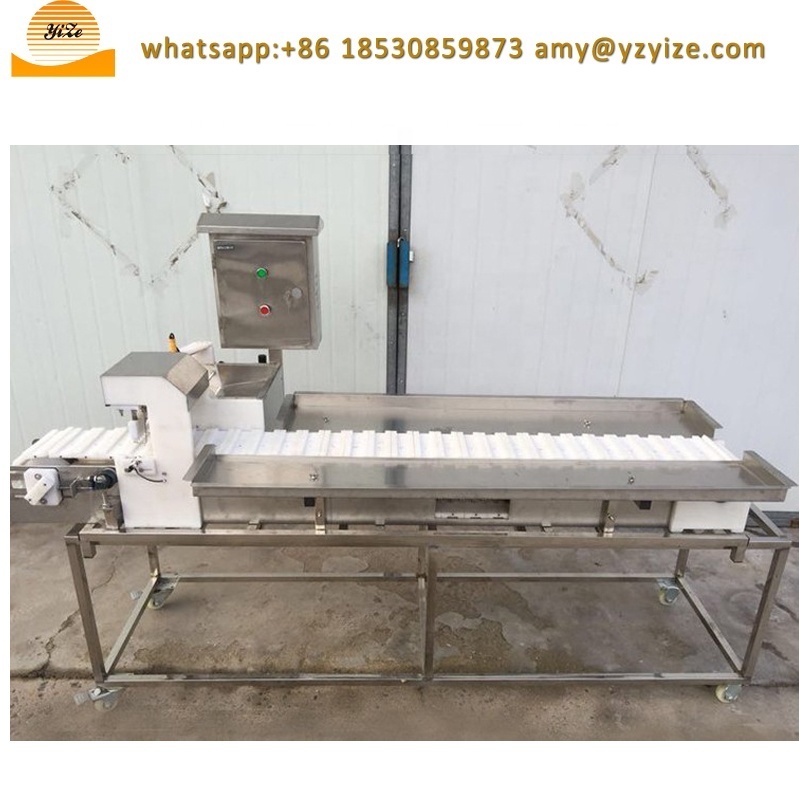 automatic souvlaki meat skewer machine kebab satay skewer making machine