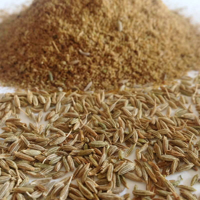 China factory Bulk Natural Single Spices & Herbs seed cumin