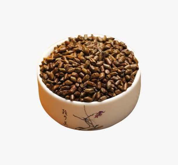 Manufacturer International Supplier Wild Cassia Tora 100% Natural Pure & Clean Optimum Quality juemingzi Seeds