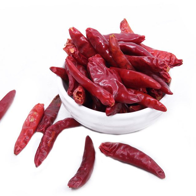 Hot Spicy wholesale price dry hot red chili S17 seasoning