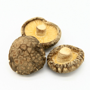 Bulk Edible  Mushrooms Dried Shiitake Mushrooms